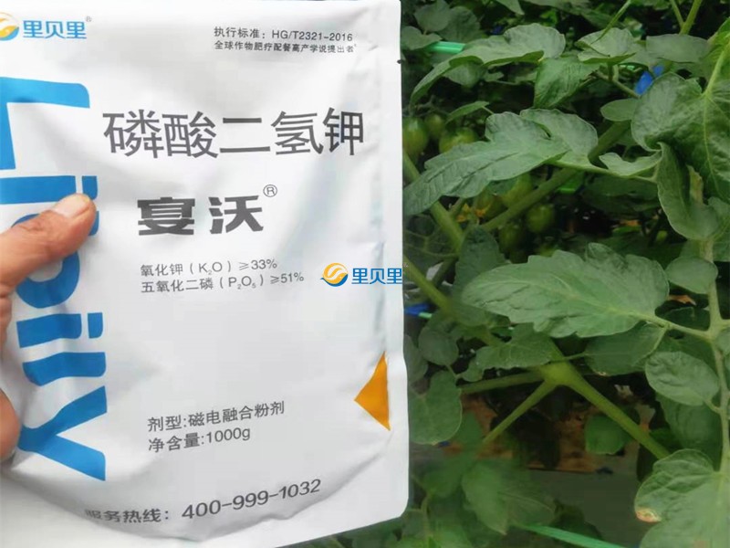 番茄用磷酸二氢钾控旺怎么样