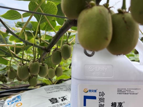 水溶肥厂家难选择？只因缺少了这些知识
