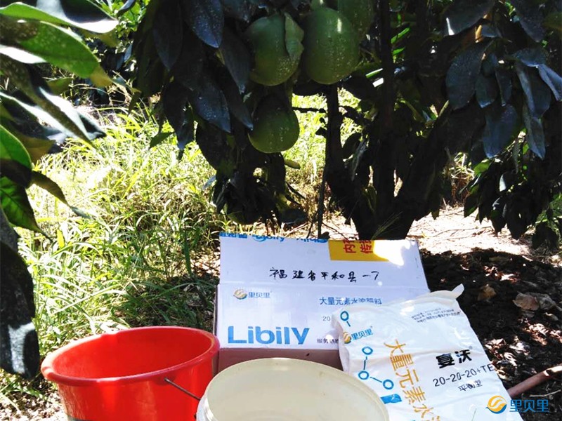 水溶肥在蜜柚上使用