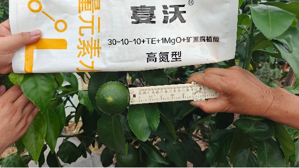 肥疗<i style='color:red'>配餐水溶肥</i>优势及作用原因