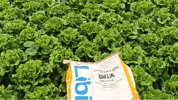 <i style='color:red'>大棚蔬菜种植</i>，冬季低温怎么办？