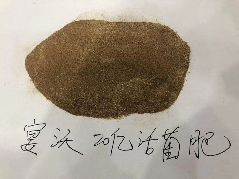 微生物菌剂哪家好