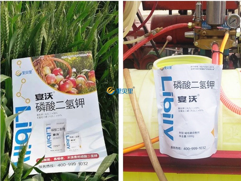 小麦追肥用什么肥料好