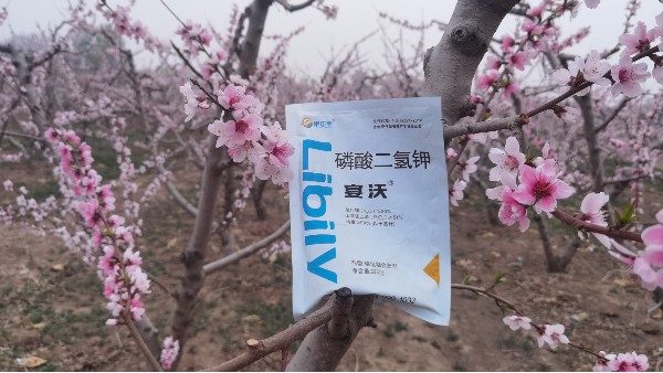 果树施肥中，种植户关注的痛点问题
