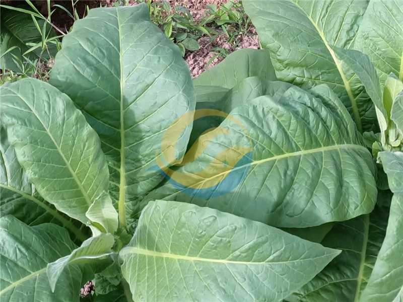 微生物菌剂选哪款？刘大哥说这款好