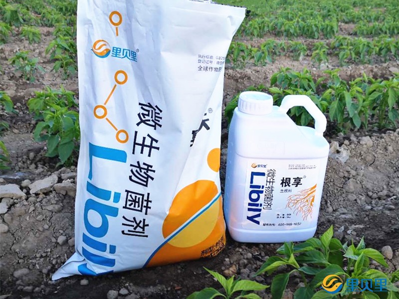 种植辣椒用什么肥料好