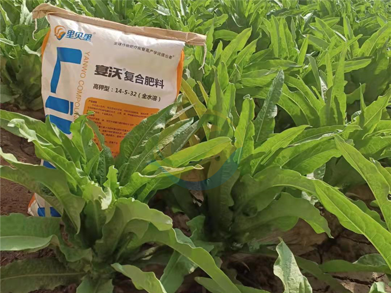 大量元素水溶肥品牌-宴沃蔬菜