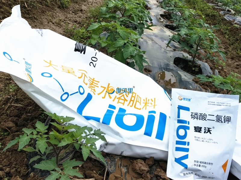 水溶肥哪家好