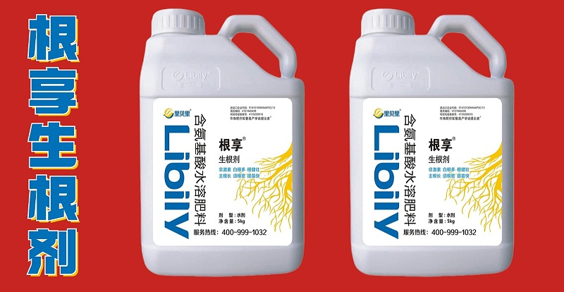 生根剂怎么选？方法在这里-根享生根剂 (2)